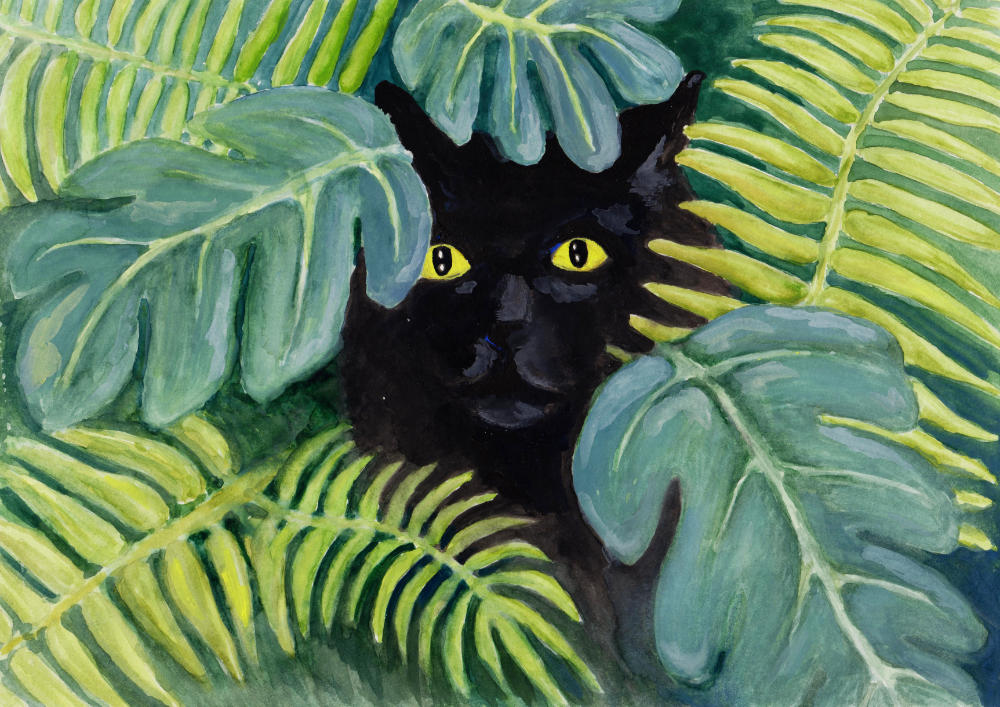 cat in jungle